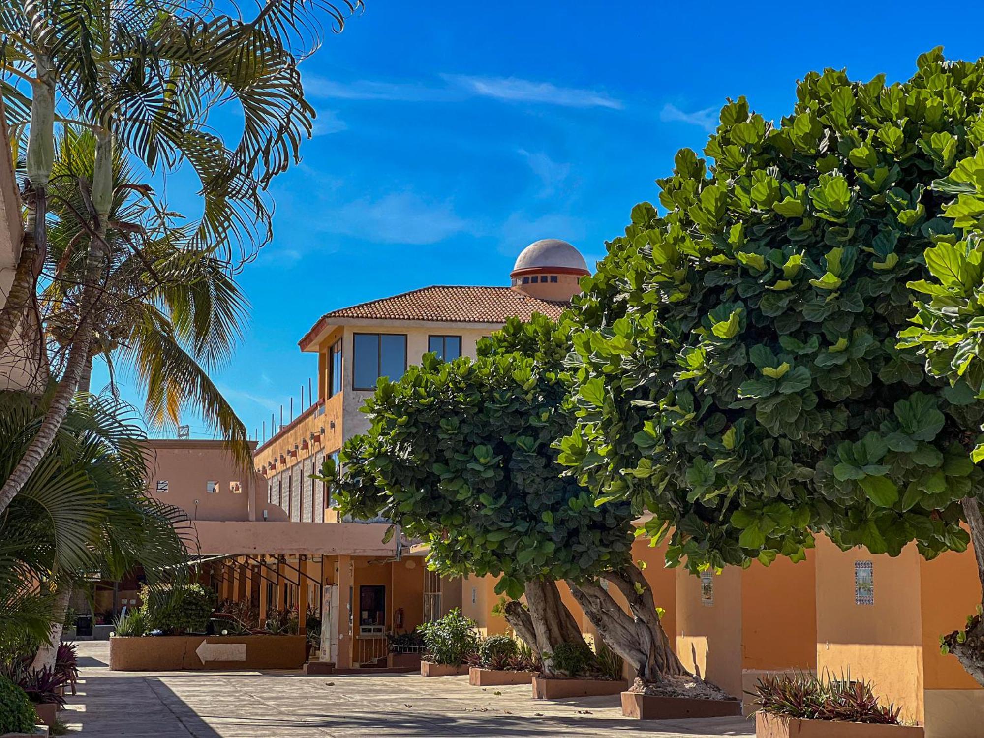 Hotel Oasis Mazatlán Exteriör bild