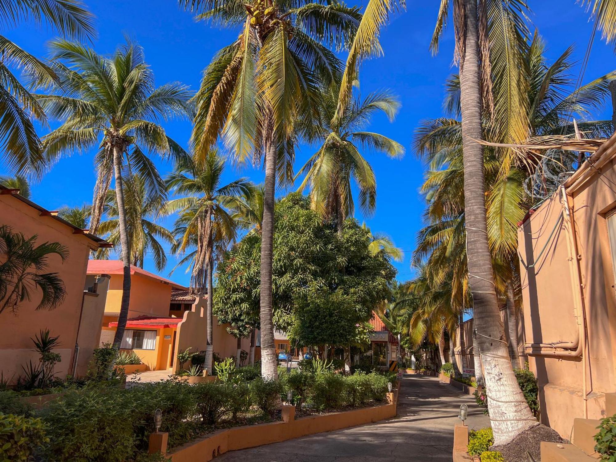 Hotel Oasis Mazatlán Exteriör bild